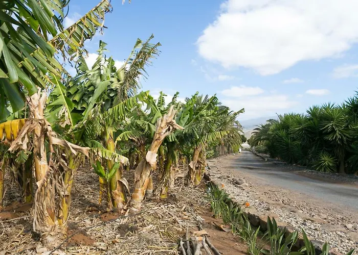 Casita 1, Caserio De Guaza Palm-mar