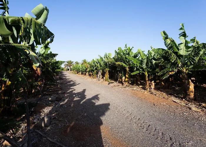 Casita 1, Caserio De Guaza Palm-mar