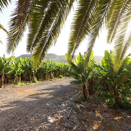 Gospodarstwo wiejskie Casita 1, Caserio De Guaza Palm-mar