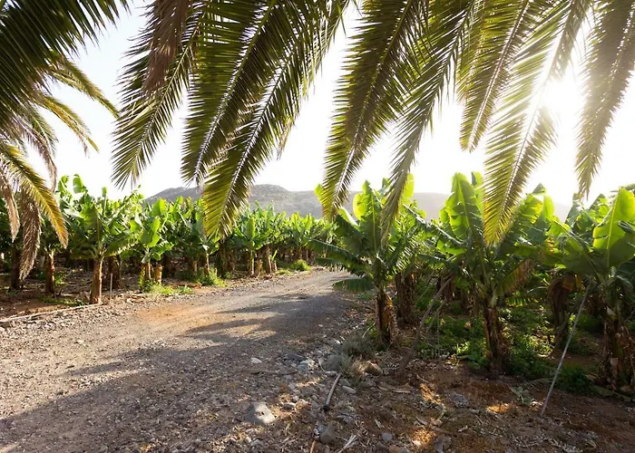 Εξοχικό σπίτι Casita 1, Caserio De Guaza Palm-mar